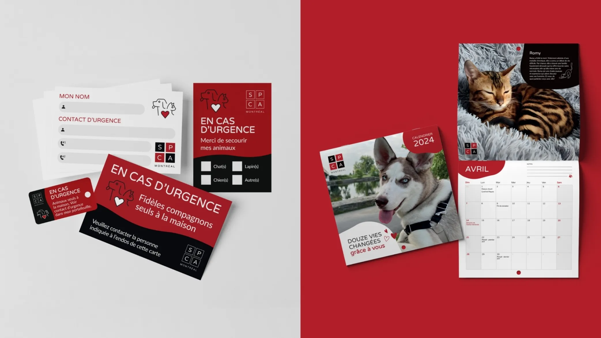 04 Cadeaux calendrier SPCA