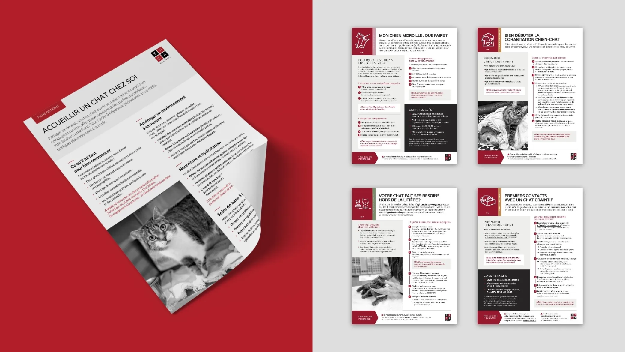 09 Protocoles Fiche Soins